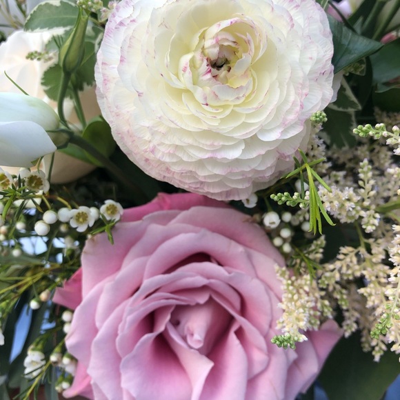 Meet your Posher, Kiyomi - Picture 1 of 1